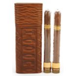Two Habana Guantanamera cigars with case, 18.5cm in length