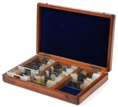 Collection of early 20th century scientific interest microscope prepared glass slides including W