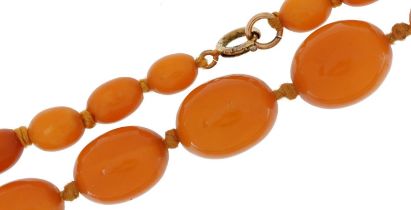 Butterscotch amber coloured graduated bead necklace, the largest bead approximately 19mm x 15mm,