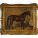 Albert Clark - Persimmon, bay racehorse in a stable, 19th century oil on canvas, mounted and framed