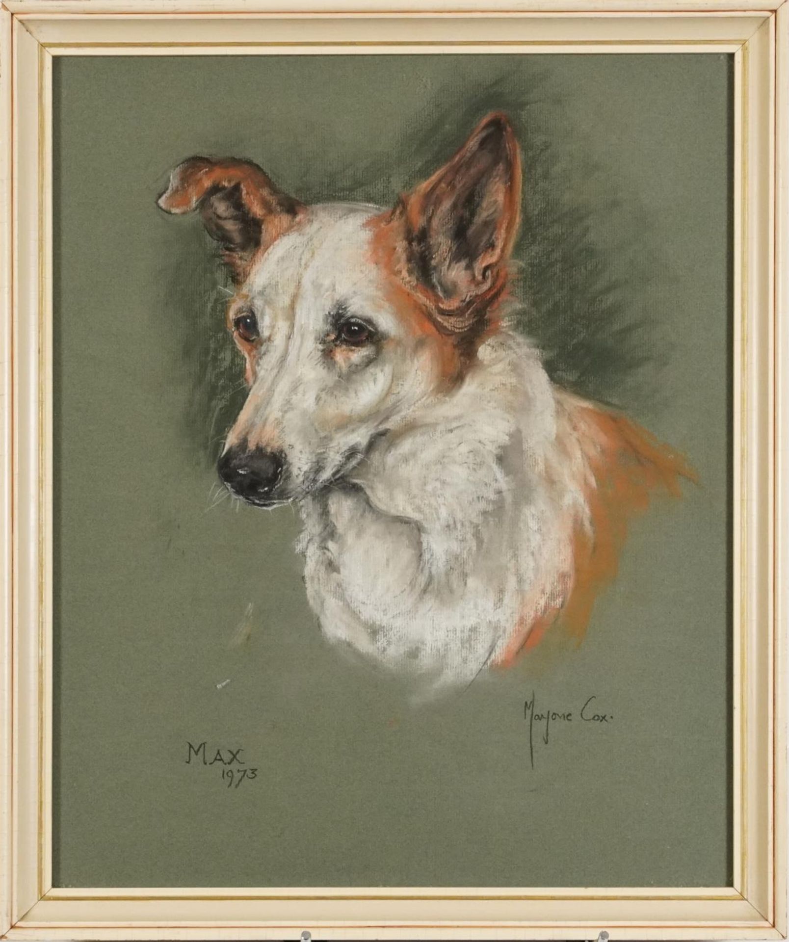 Marjorie Cox 1973 - Portrait of a dog entitled Max, signed pastel, mounted, framed and glazed, - Bild 2 aus 5