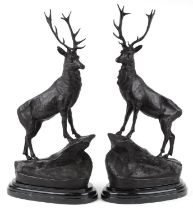 After Jules Moigniez, pair of large patinated bronze stags, each raised on a shaped carved marble