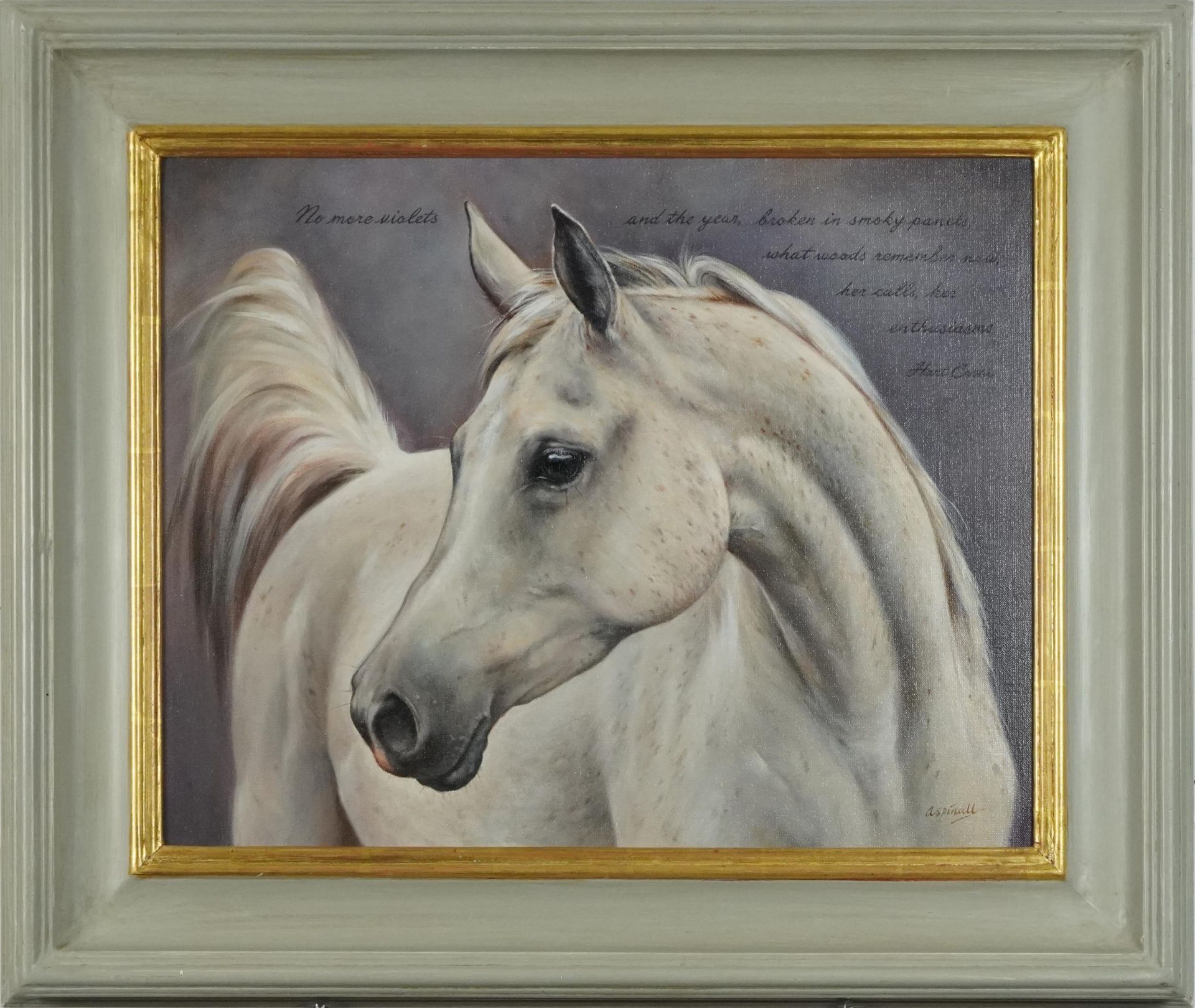 Sarah Aspinall - White horse, equestrian interest oil on canvas, mounted and framed, 48.5cm x 38.5cm - Bild 2 aus 4