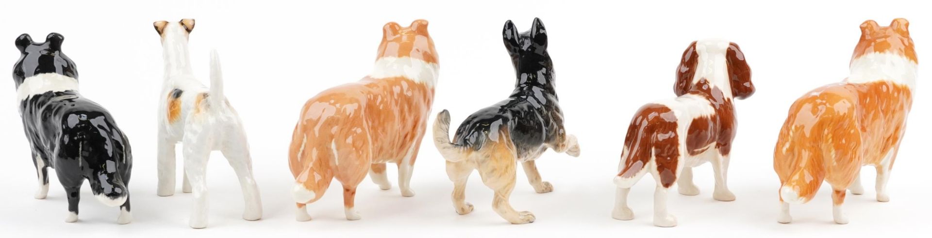 Six Beswick collectable dogs including two Lochinvar of Lady Park Collies and King Charles - Image 4 of 8