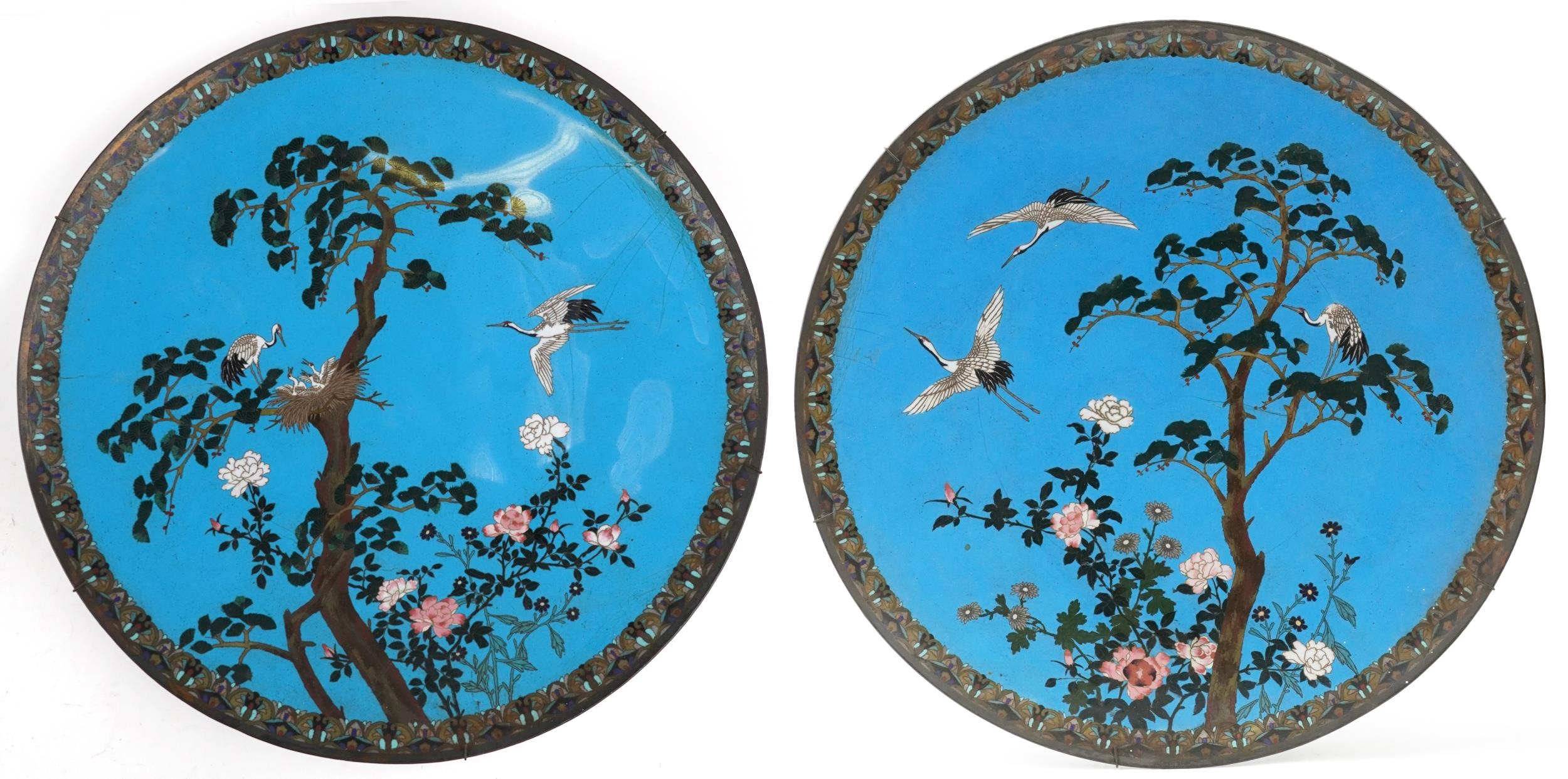 Unusually large pair of Japanese blue ground cloisonne chargers enamelled with cranes amongst