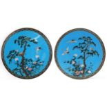 Unusually large pair of Japanese blue ground cloisonne chargers enamelled with cranes amongst