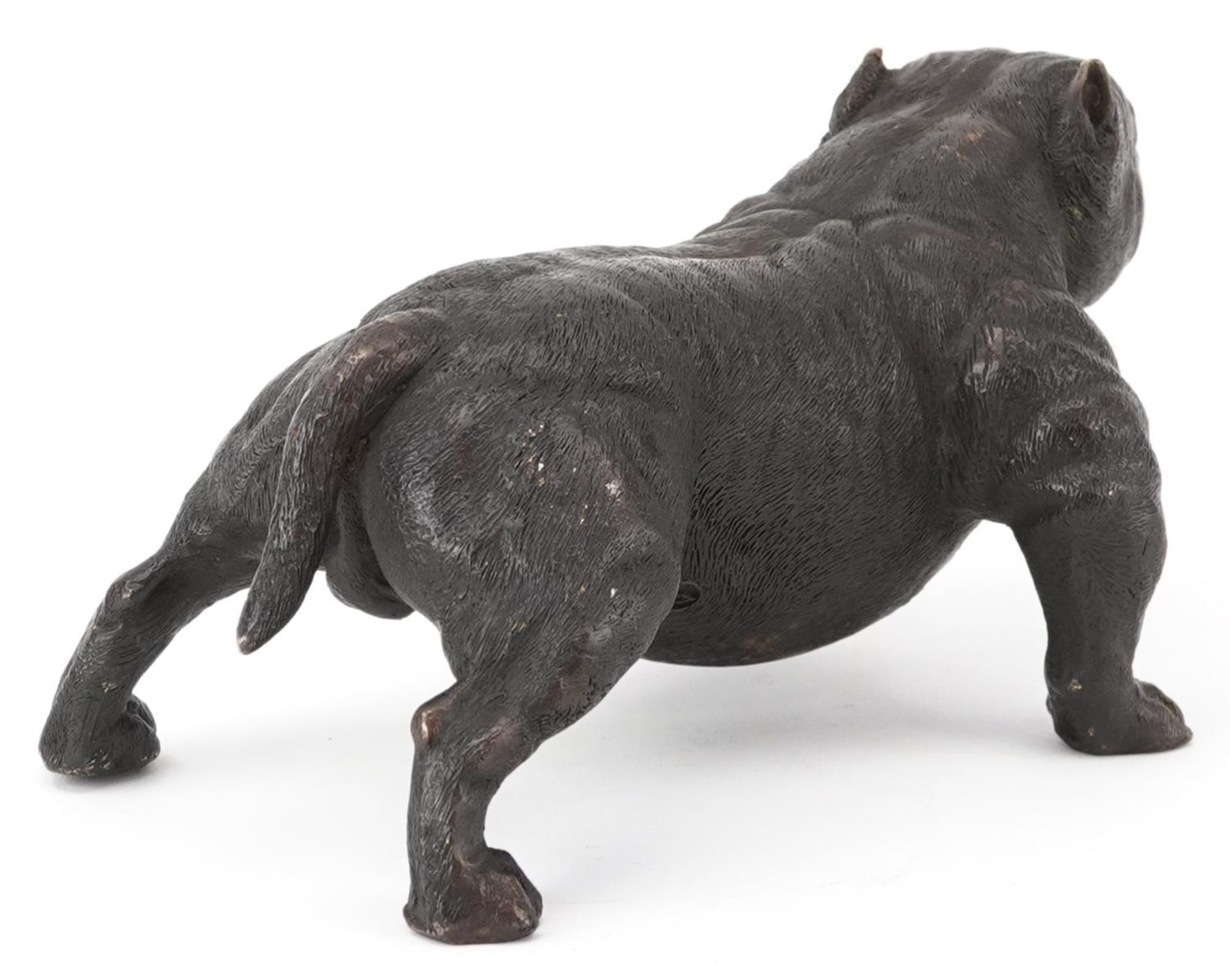 Patinated bronze Bullmastiff, impressed marks to the base, 19cm in length - Bild 2 aus 4
