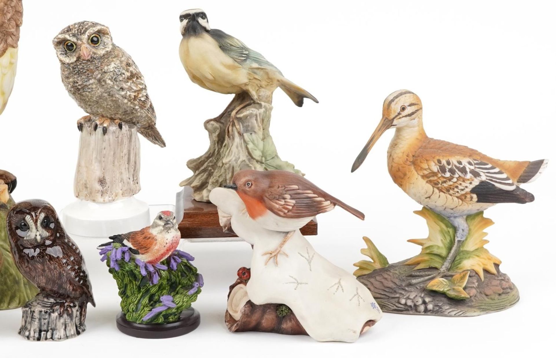 Bird sculptures, predominantly hand painted porcelain including Albany Fine China Little Owl - Image 3 of 3