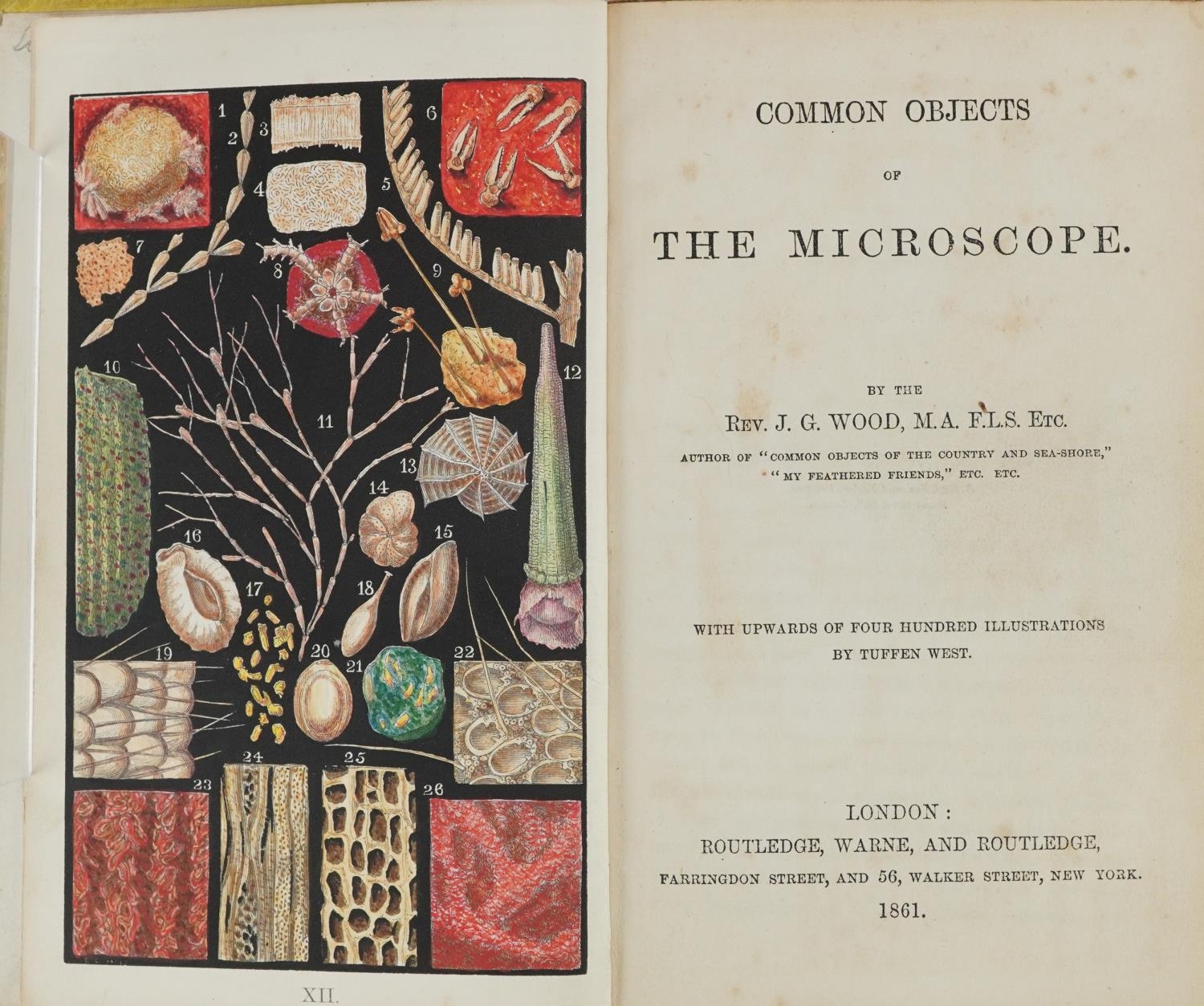 Two Scientific interest hardback books relating to microscopes comprising Common Objects of the - Image 2 of 4