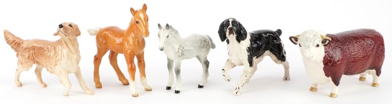 Five Beswick collectable animals including Champion of Champions bull, English Springer Spaniel