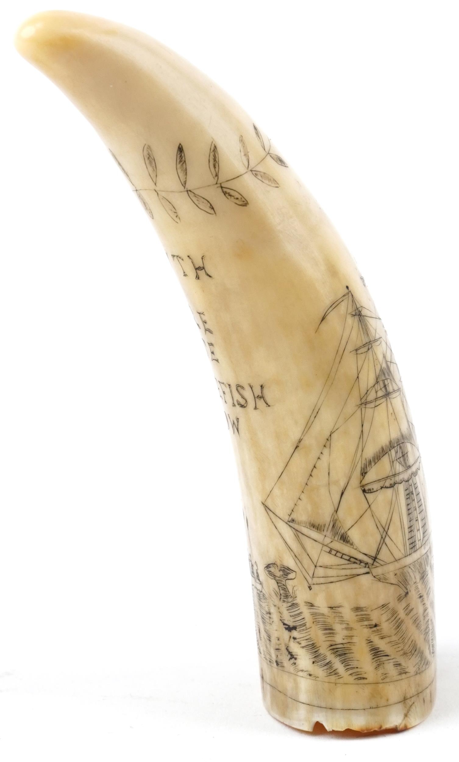 Antique sailor's scrimshaw whale's tooth engraved with whalers beside a rigged ship inscribed - Image 4 of 6