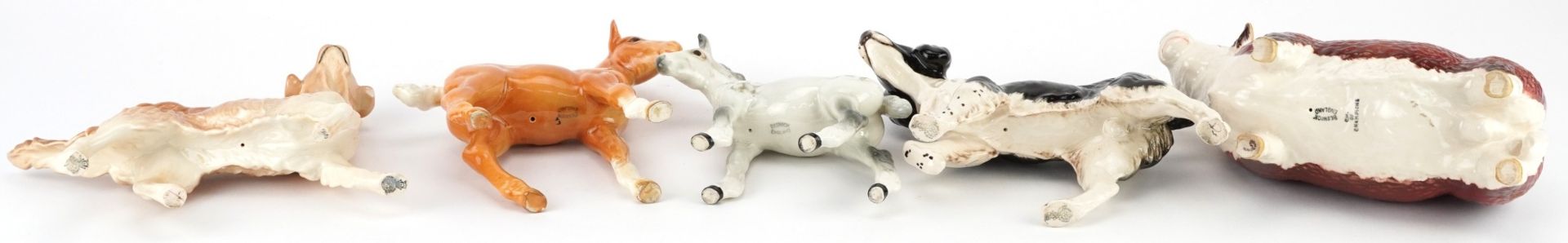 Five Beswick collectable animals including Champion of Champions bull, English Springer Spaniel - Image 5 of 6