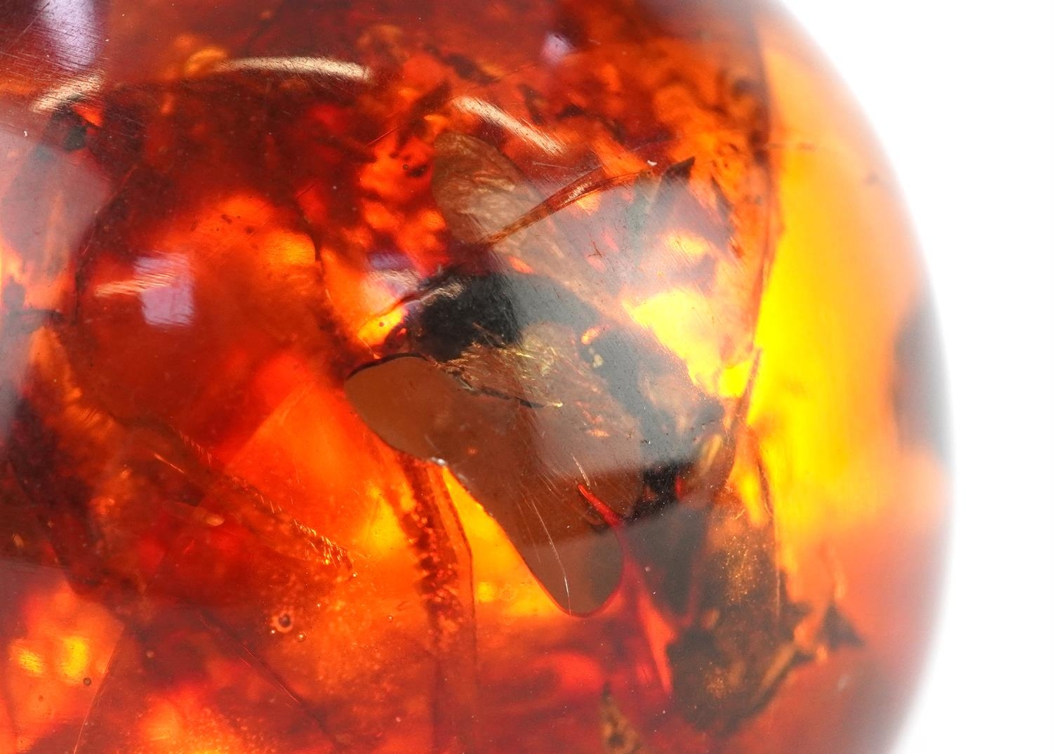 Polished natural amber sphere on stand with encased insects, 6cm high, 91.5g - Image 3 of 5