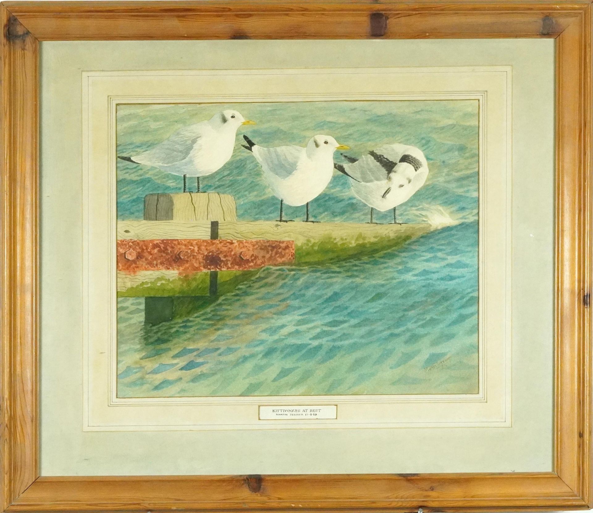 Martin Jenner 1989 - Kittiwakes at Rest, wildlife interest watercolour, mounted, framed and - Image 2 of 5