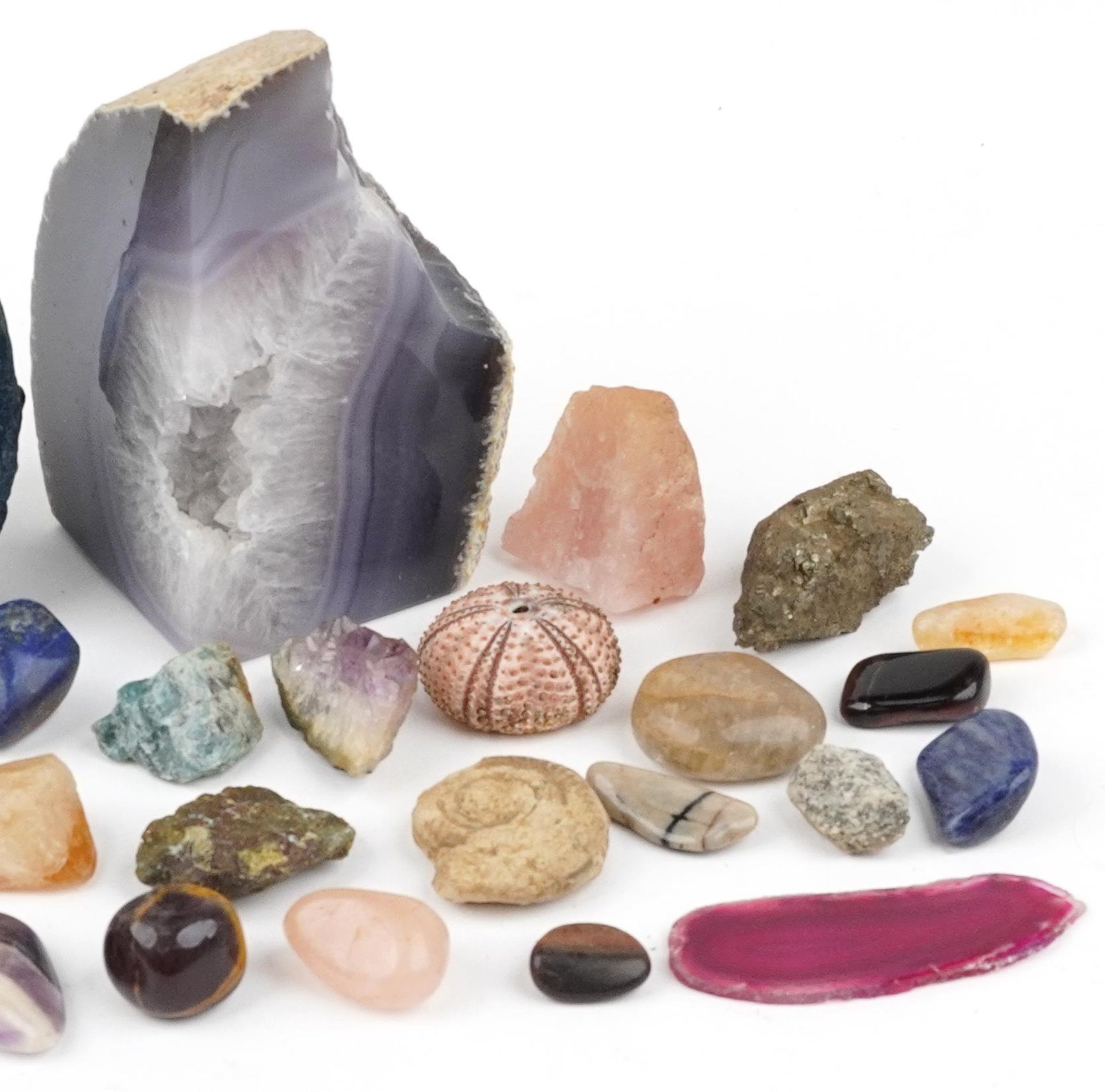 Natural history and geology interest fossils and stone specimens including amethyst, crystal and - Image 3 of 3