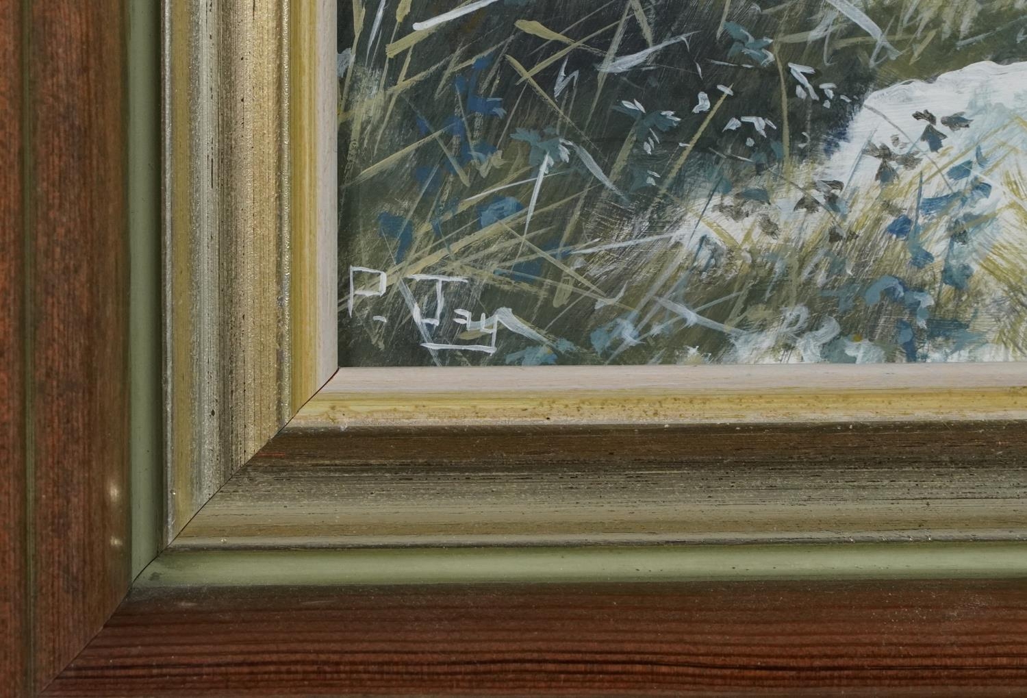 Peter Jay - Snow, Track on the Marsh and Summer on the South Downs, three oil on boards including - Image 10 of 20