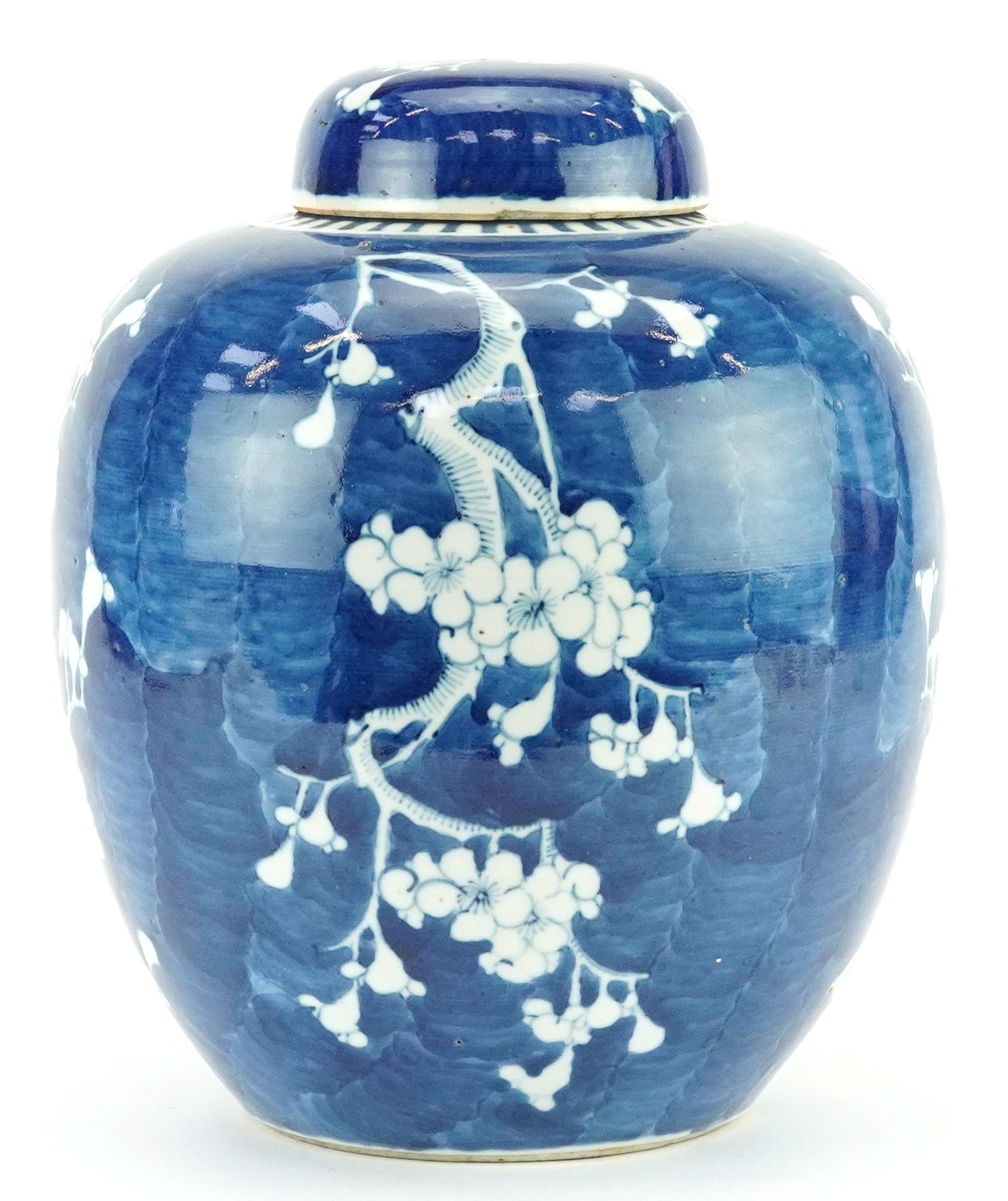 Large Chinese blue and white porcelain ginger jar and cover hand painted with prunus flowers, Kangxi - Bild 4 aus 6