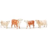 Four Beswick collectable cows including Charolais cow and Hereford bull, the largest 24cm in length