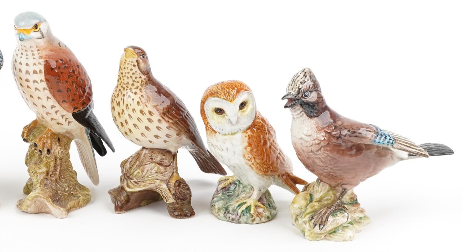 Seven Beswick birds including Jay, Lapwing and Lesser Spotted Woodpecker, the largest 17cm high - Image 3 of 5