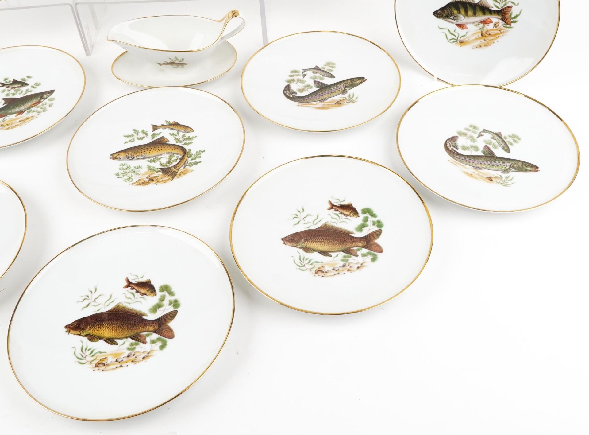 J K W Decor Carlsbad, Bavarian porcelain fish service decorated with various fish comprising - Image 5 of 6