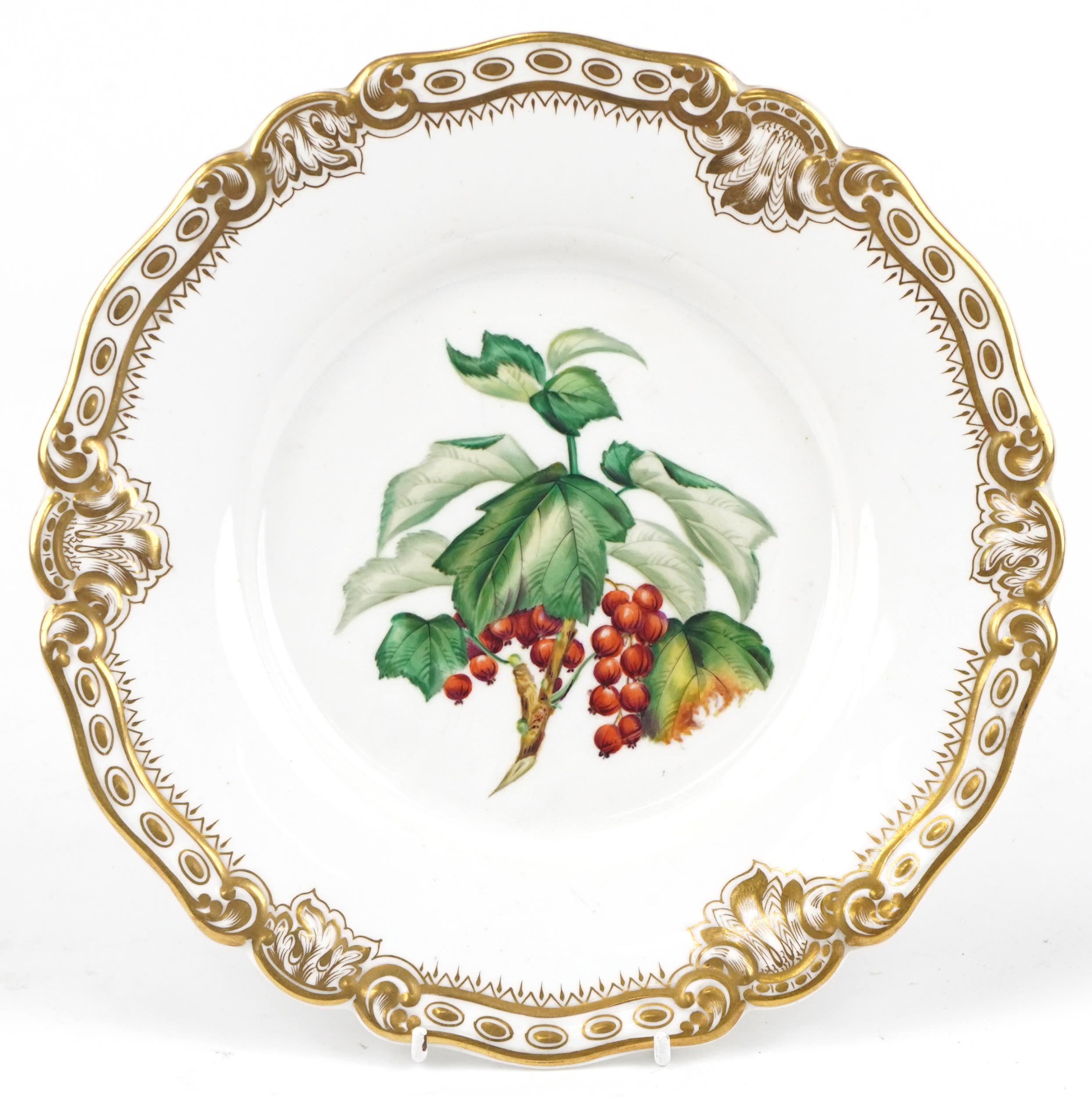 Royal Worcester, Victorian porcelain cabinet plate hand painted with berries within a gilt foliate