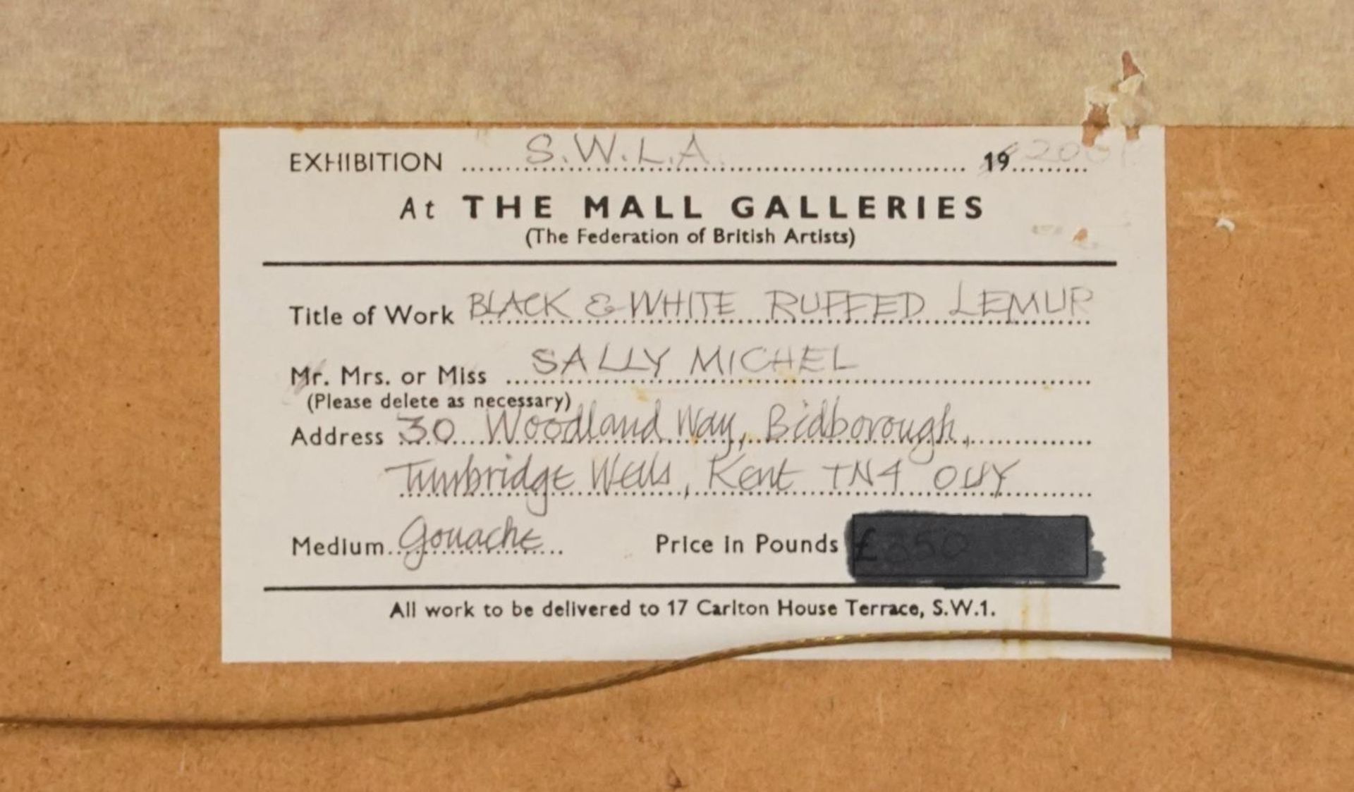 Sally Michel - Black and white ruffled lemur, signed gouache, At the Mall Gallery label verso, - Bild 5 aus 5