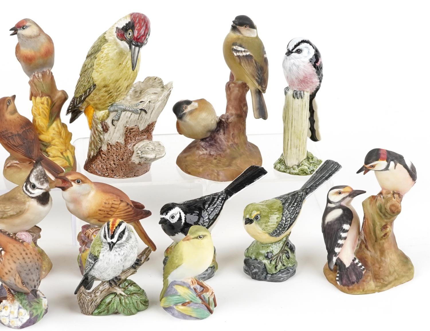 Collection of Royal Worcester and Mack hand painted porcelain birds including Redstart, Nightingale, - Image 3 of 4