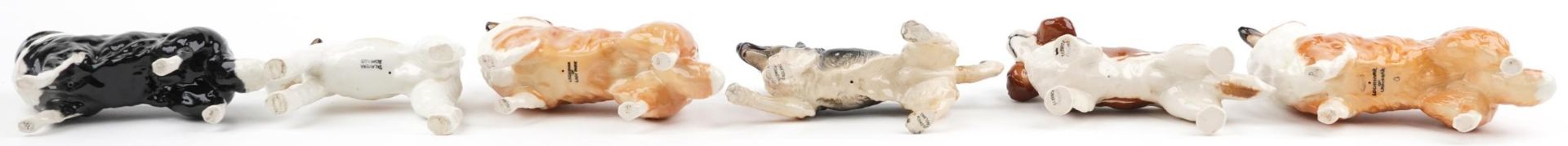 Six Beswick collectable dogs including two Lochinvar of Lady Park Collies and King Charles - Image 5 of 8