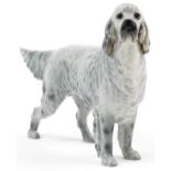 Beswick grey English Setter having a gloss glaze, 31cm in length