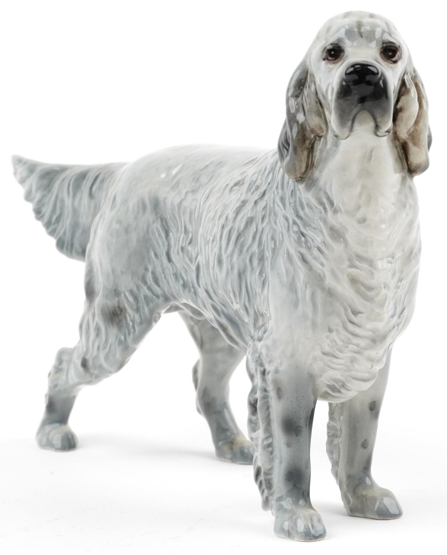 Beswick grey English Setter having a gloss glaze, 31cm in length