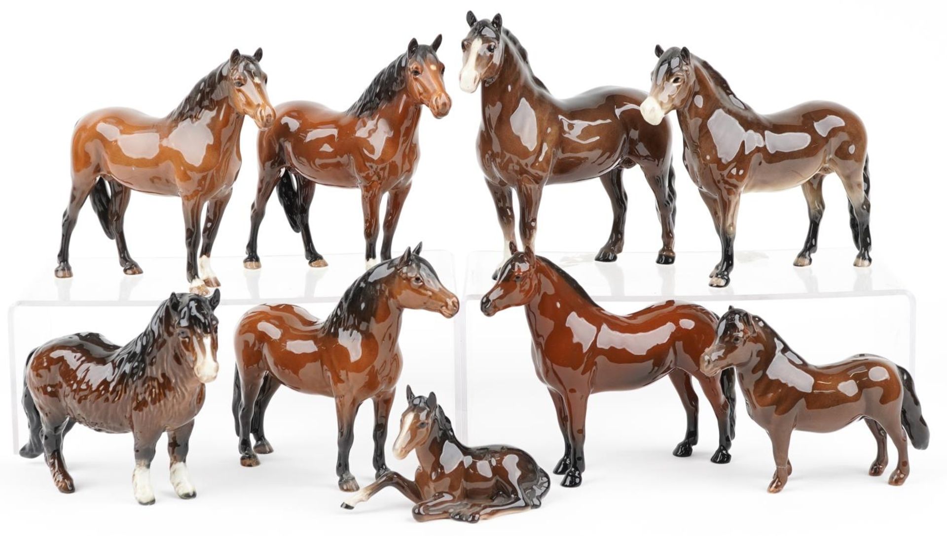 Nine Beswick collectable horses and foals, the largest 20cm in length