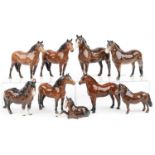 Nine Beswick collectable horses and foals, the largest 20cm in length