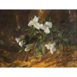 Geoffrey Rock - Trilliums, The Flower of Ontario, Canadian oil on board, label verso, mounted and