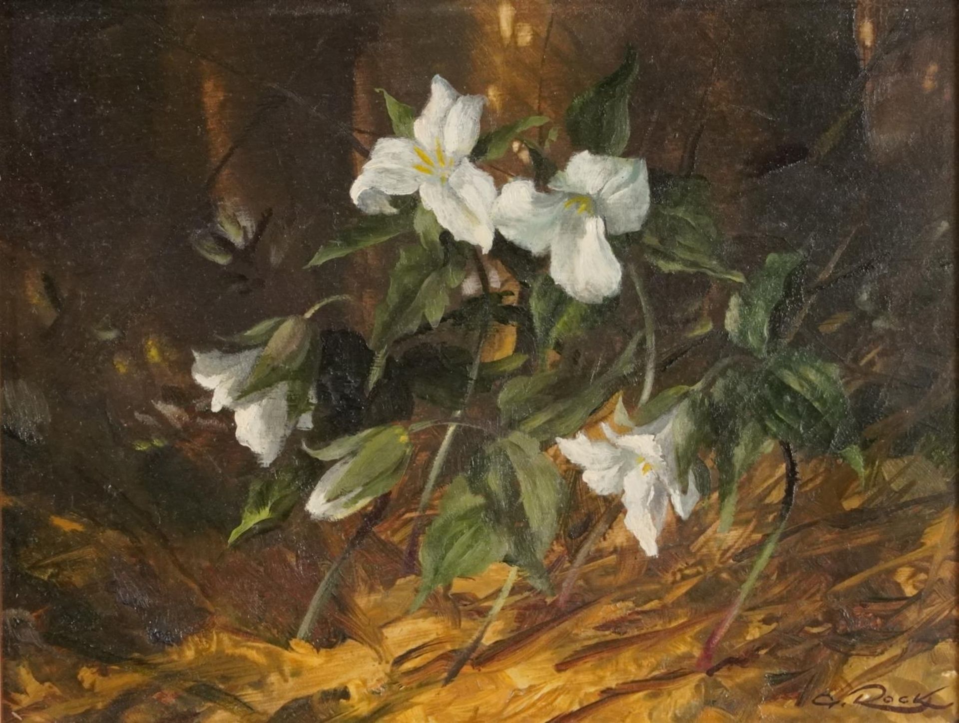 Geoffrey Rock - Trilliums, The Flower of Ontario, Canadian oil on board, label verso, mounted and