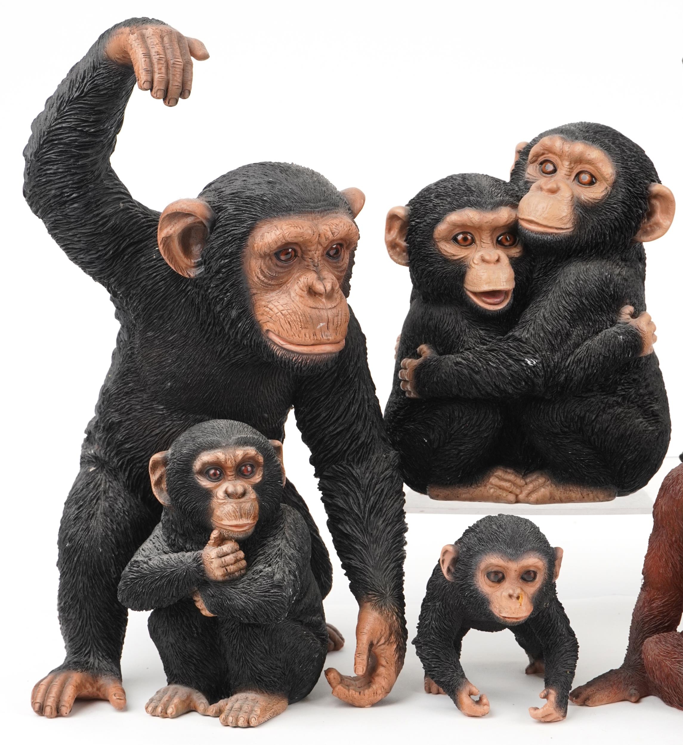 Six large hand painted model monkeys and a group of two chimpanzees, the largest 42cm high - Image 2 of 4
