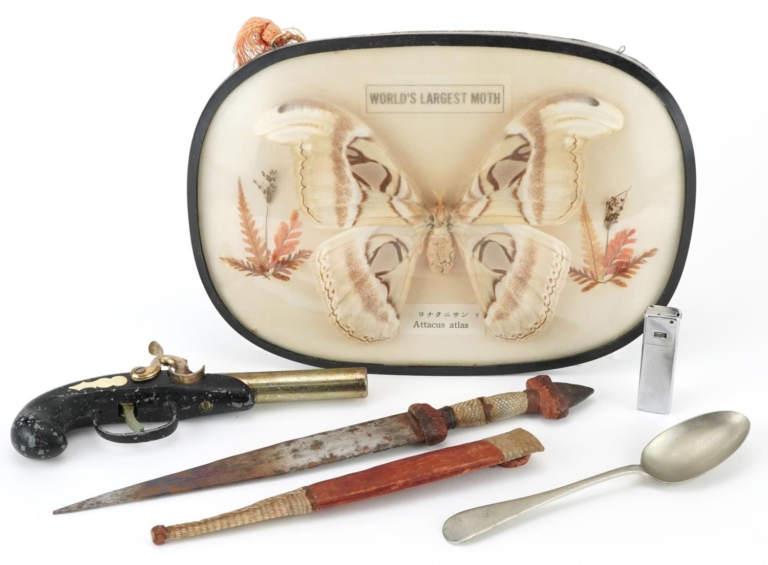 Sundry items including a taxidermy interest Attacus Atlas moth, Sudanese knife and a lighter in