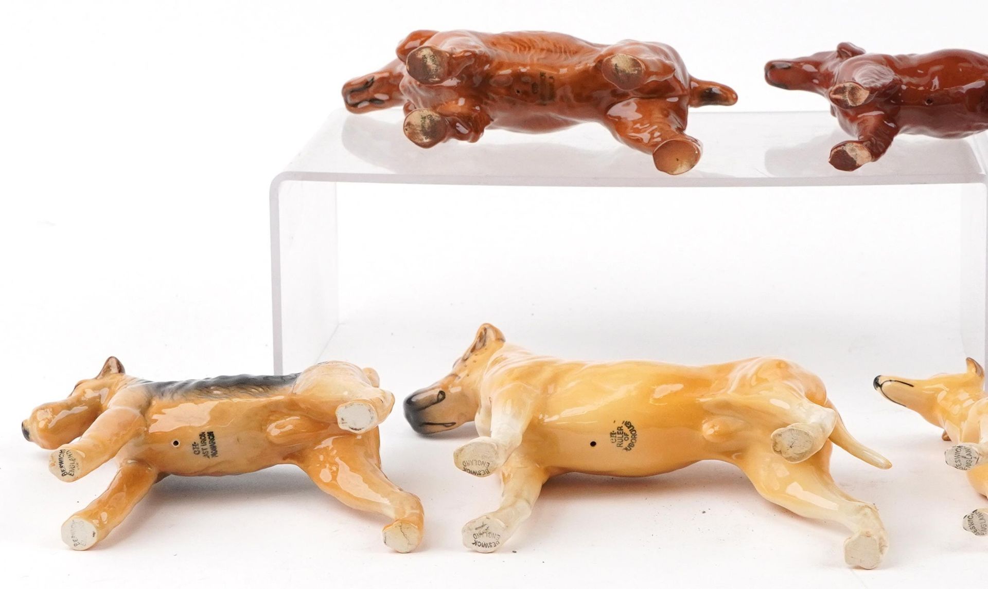 Eight Beswick collectable dogs, some champions comprising Horseshoe Primula, Ruler of Duborough, - Bild 5 aus 6