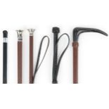 Five leather riding crops including one with horn handle, the largest 67cm high