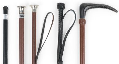 Five leather riding crops including one with horn handle, the largest 67cm high