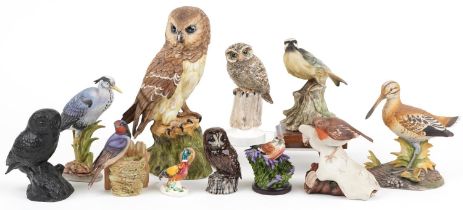 Bird sculptures, predominantly hand painted porcelain including Albany Fine China Little Owl