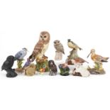 Bird sculptures, predominantly hand painted porcelain including Albany Fine China Little Owl