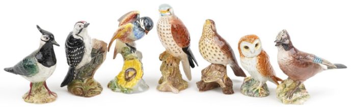 Seven Beswick birds including Jay, Lapwing and Lesser Spotted Woodpecker, the largest 17cm high