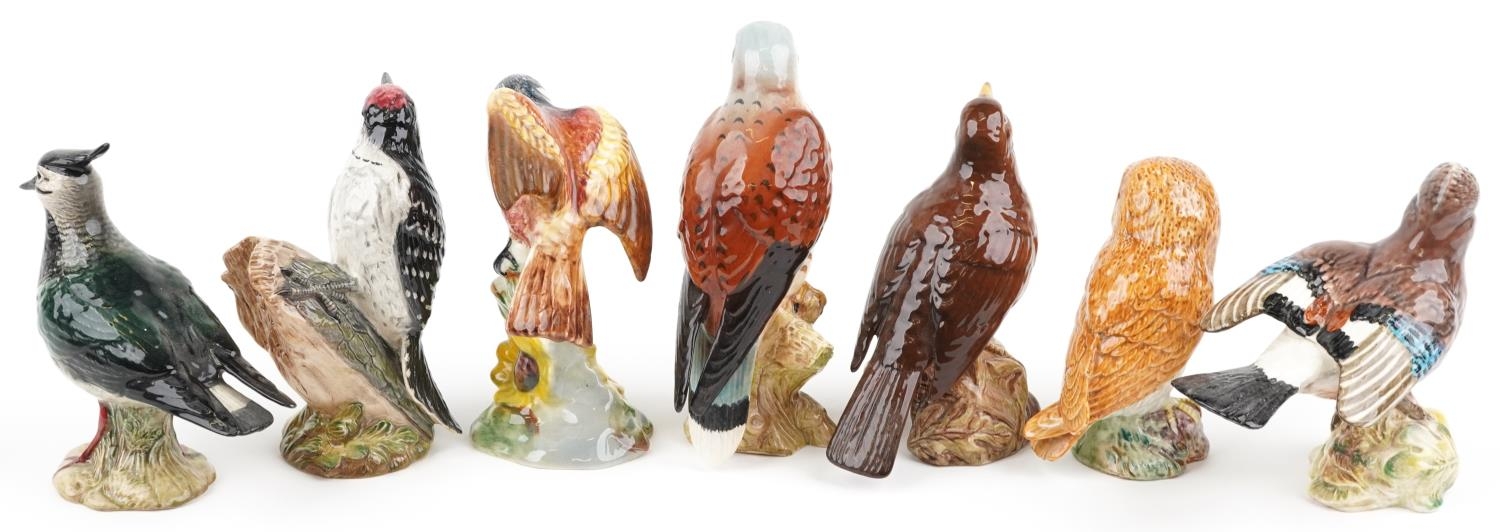 Seven Beswick birds including Jay, Lapwing and Lesser Spotted Woodpecker, the largest 17cm high - Image 4 of 5
