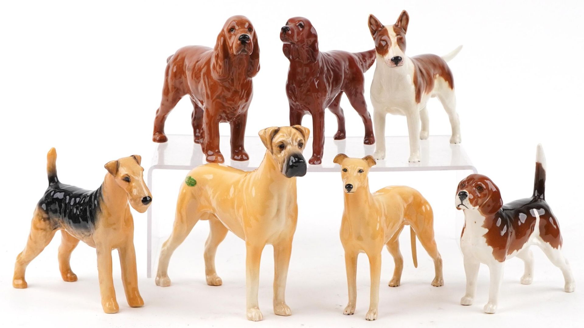 Eight Beswick collectable dogs, some champions comprising Horseshoe Primula, Ruler of Duborough,