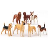 Eight Beswick collectable dogs, some champions comprising Horseshoe Primula, Ruler of Duborough,