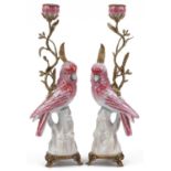 Pair of continental porcelain Cockatiel and gilt bronze candlesticks, 42cm high