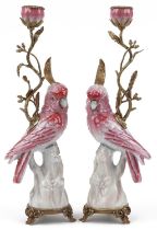 Pair of continental porcelain Cockatiel and gilt bronze candlesticks, 42cm high