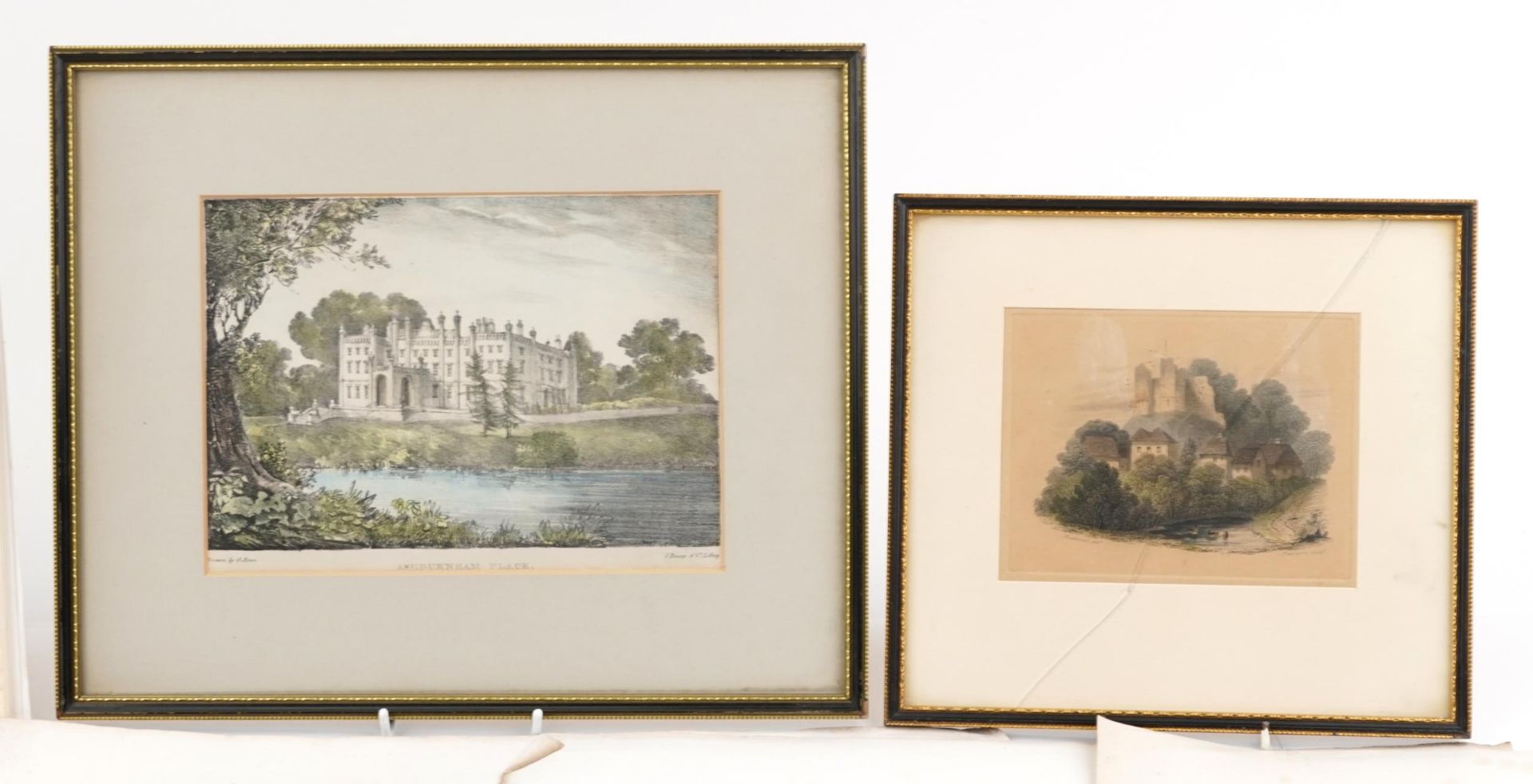 18th century and later pictures and prints including Map of Suffolk by J & C Walker and botany - Image 3 of 6