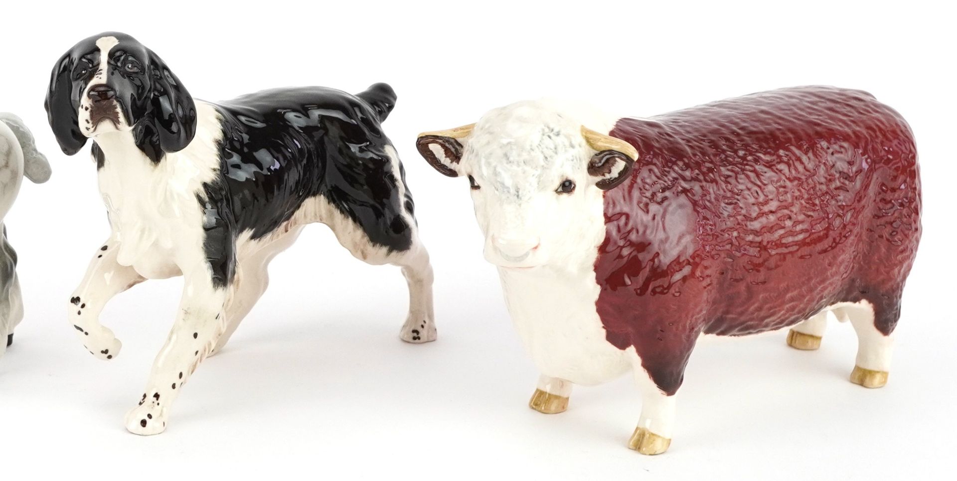 Five Beswick collectable animals including Champion of Champions bull, English Springer Spaniel - Bild 3 aus 6