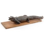 Taxidermy interest crocodile on hardwood base, 94.5cm in length